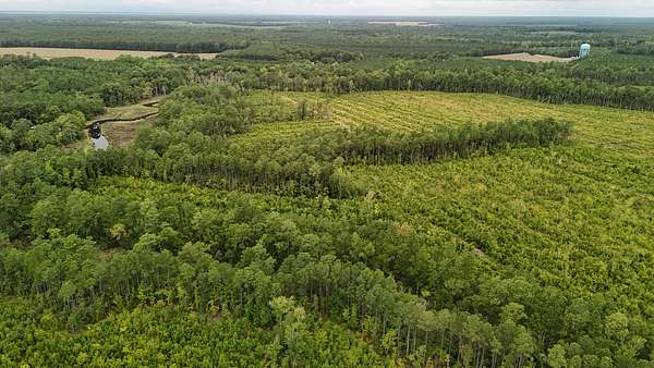 462 Acres of Land for Sale in Oriental, North Carolina