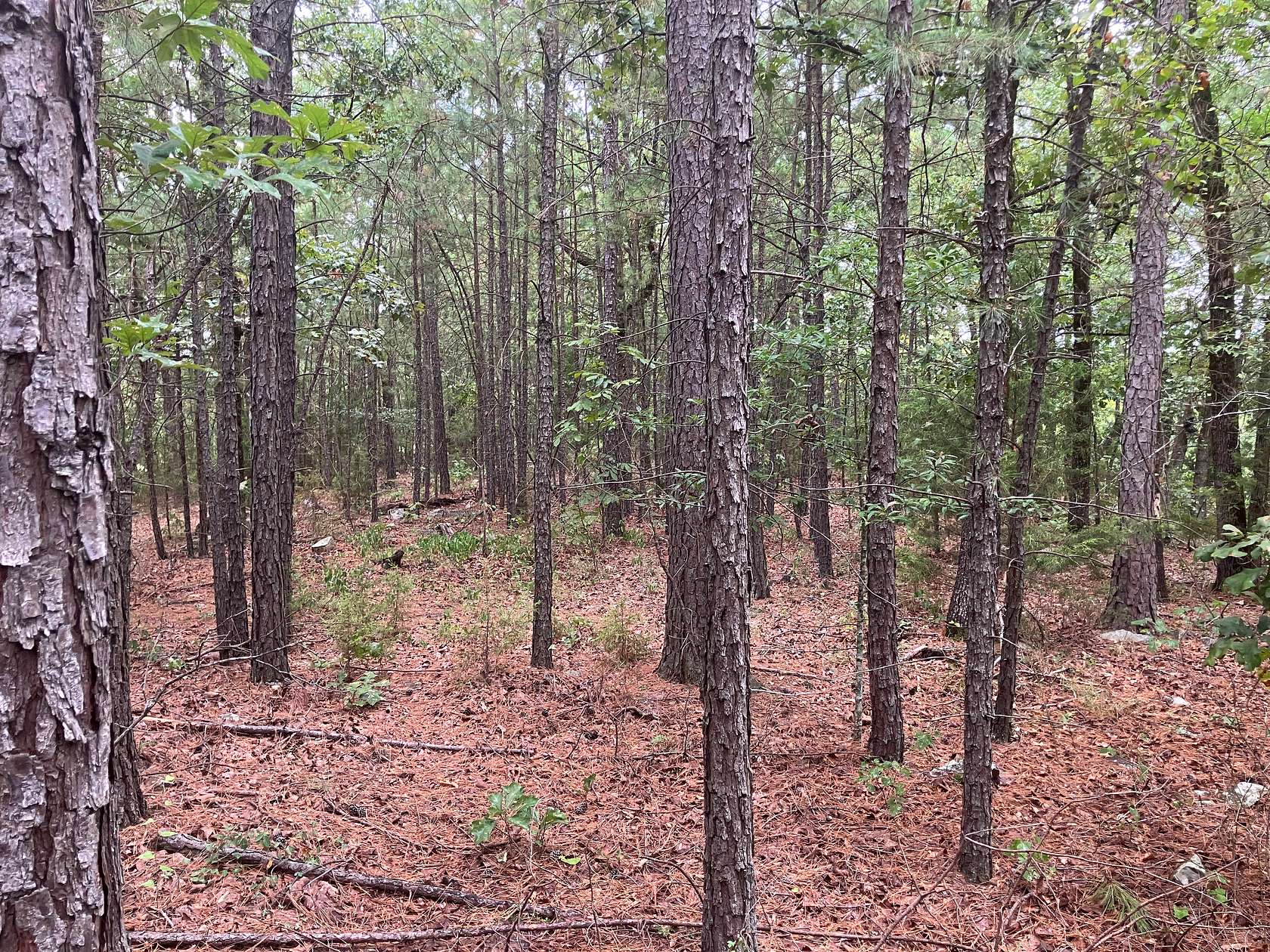 6.86 Acres of Agricultural Land for Sale in Wister, Oklahoma