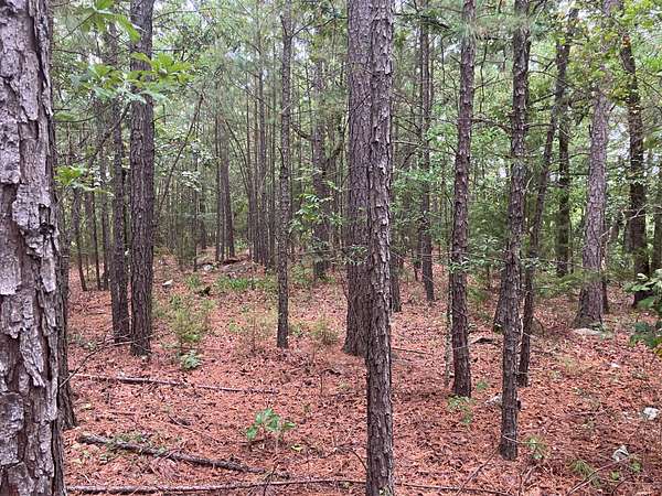 6.86 Acres of Agricultural Land for Sale in Wister, Oklahoma