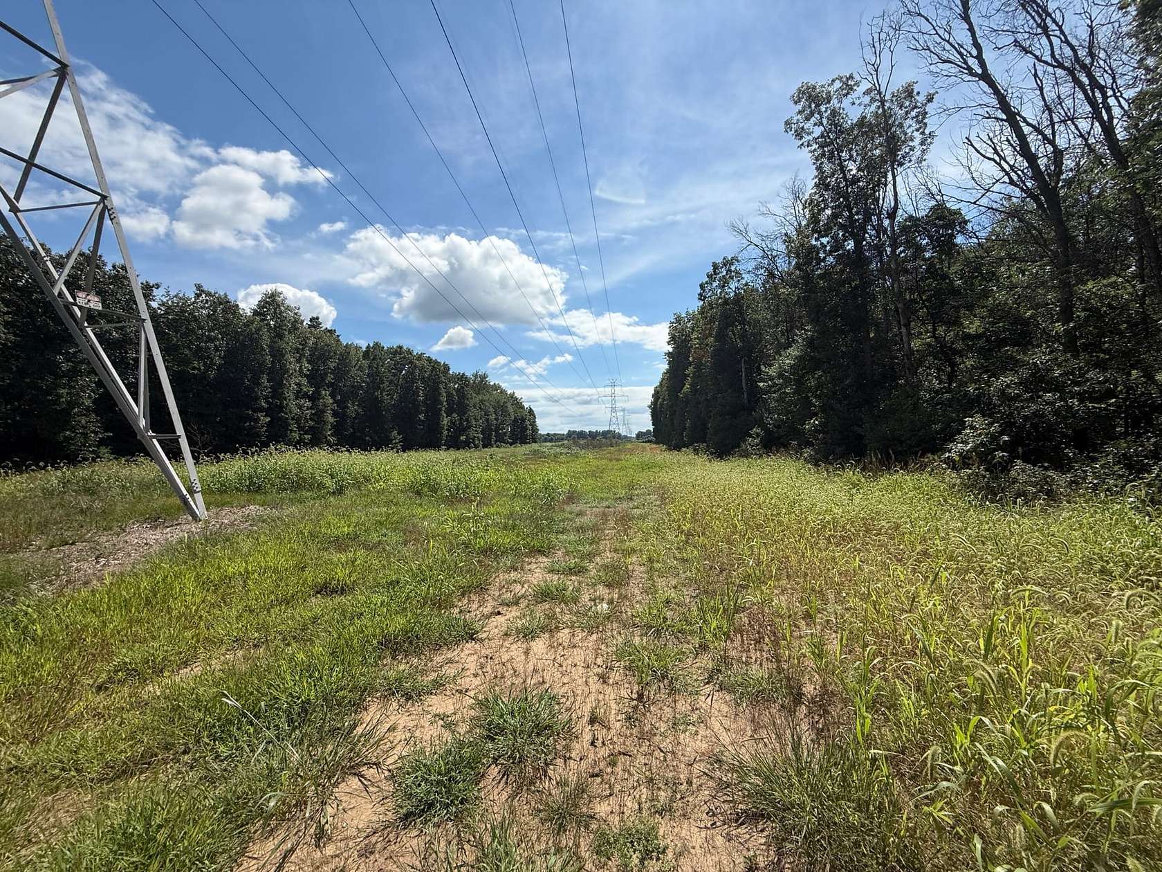 49 Acres of Recreational Land for Sale in Knox, Indiana