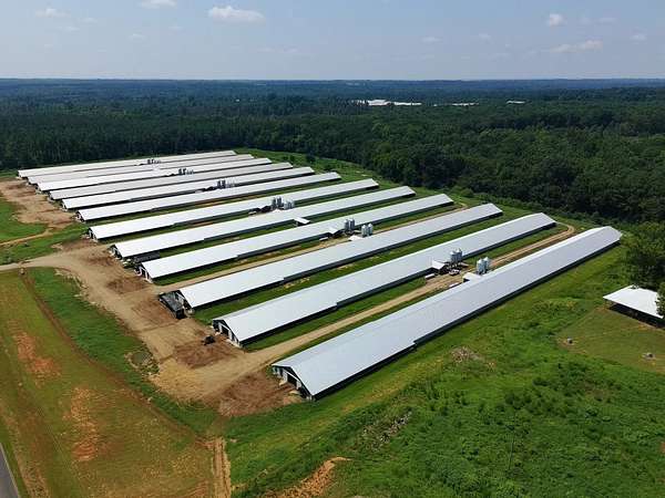 125 Acres of Agricultural Land for Sale in Morven, North Carolina