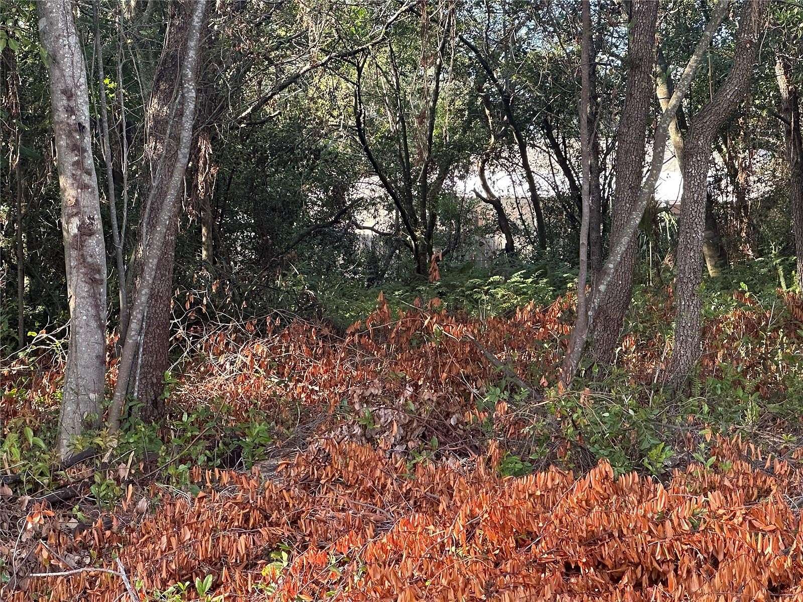 0.29 Acres of Residential Land for Sale in Spring Hill, Florida