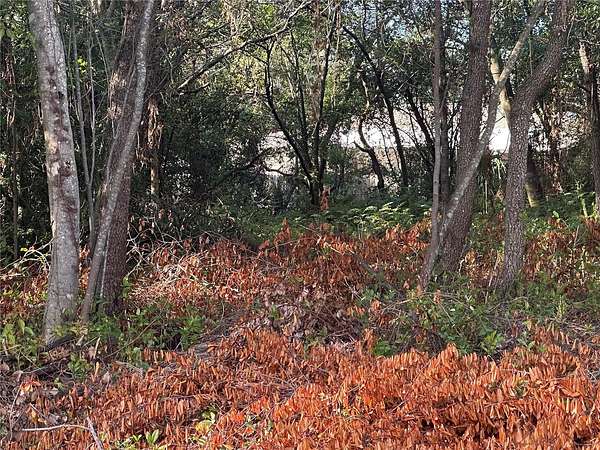 0.29 Acres of Residential Land for Sale in Spring Hill, Florida