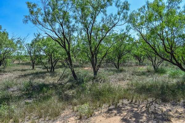 14 Acres of Recreational Land for Sale in Lohn, Texas