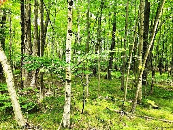 0.76 Acres of Residential Land for Sale in Clare, Michigan