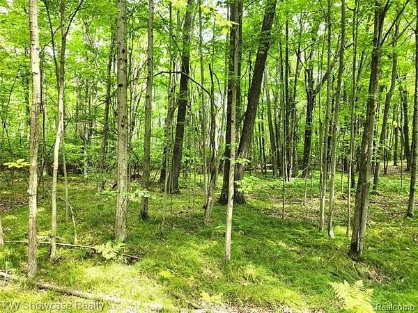0.86 Acres of Residential Land for Sale in Lincoln Township, Michigan