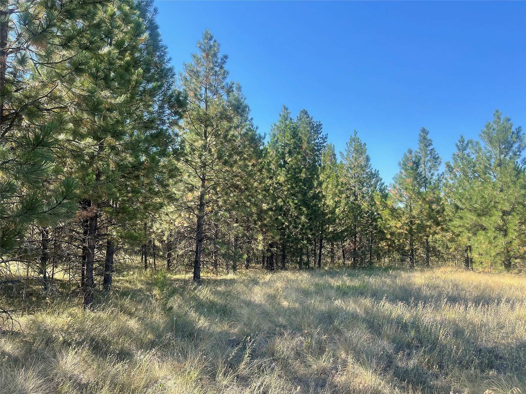 3 Acres of Residential Land for Sale in Polson, Montana