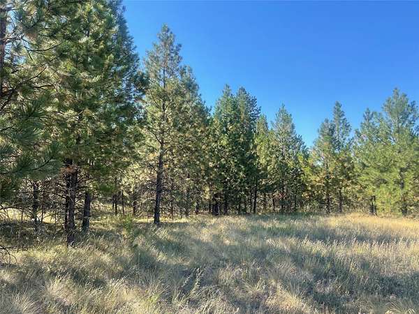3 Acres of Residential Land for Sale in Polson, Montana
