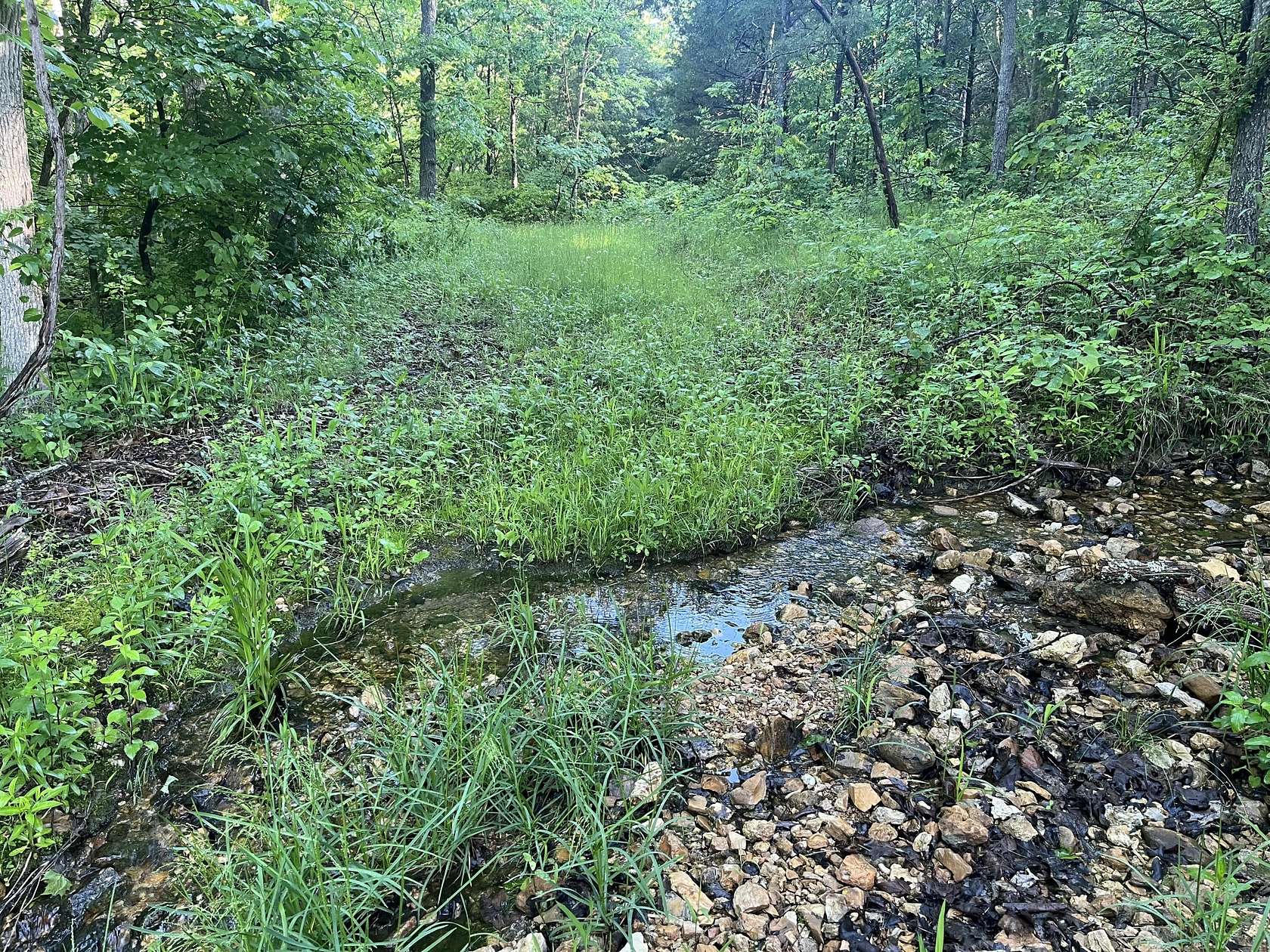 83.7 Acres of Recreational Land for Sale in Ava, Missouri