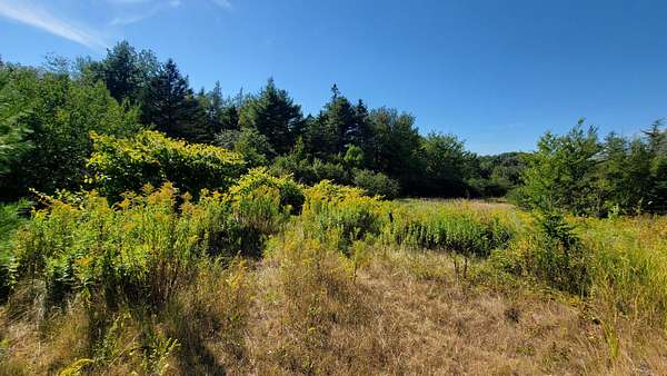 18 Acres of Agricultural Land for Sale in Jonesboro, Maine