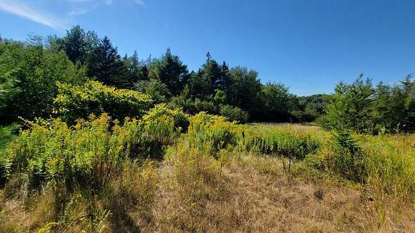 18 Acres of Land for Sale in Jonesboro, Maine