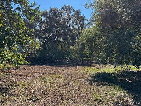 0.27 Acres of Residential Land for Sale in Inverness, Florida
