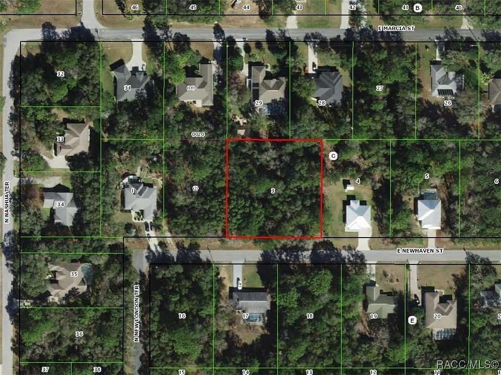 0.75 Acres of Residential Land for Sale in Inverness, Florida