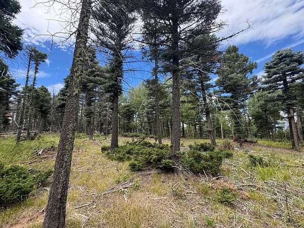1 Acre of Residential Land for Sale in Angel Fire, New Mexico