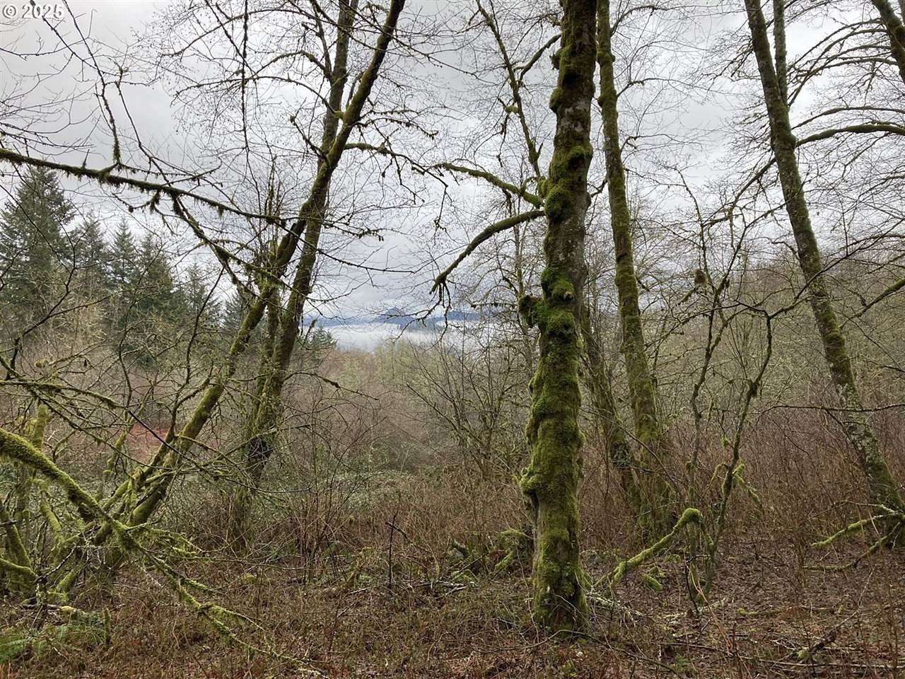 8.8 Acres of Residential Land for Sale in Amboy, Washington