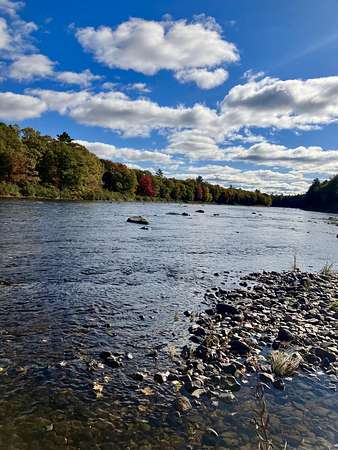 16.2 Acres of Recreational & Residential Land for Sale in Medford, Maine