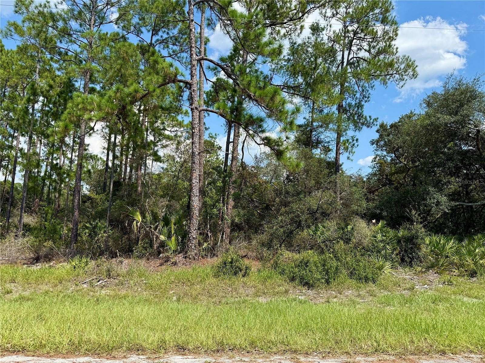 1 Acre of Residential Land for Sale in Eustis, Florida