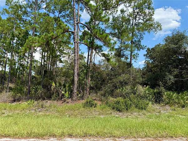 1 Acre of Residential Land for Sale in Eustis, Florida