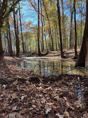Land for Sale in Quitman, Louisiana