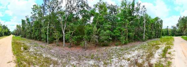 0.27 Acres of Residential Land for Sale in Interlachen, Florida