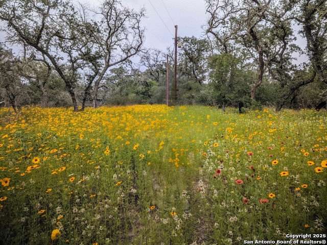 2 Acres of Residential Land for Sale in Natalia, Texas