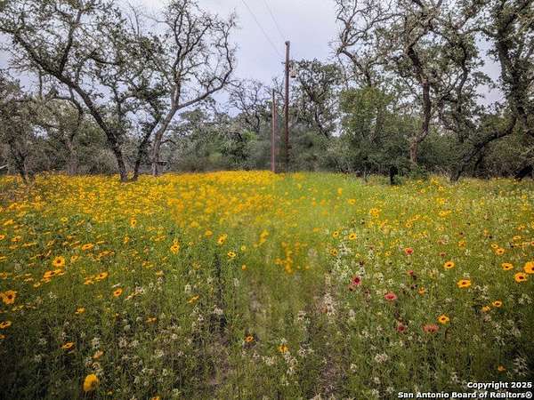 2 Acres of Residential Land for Sale in Natalia, Texas