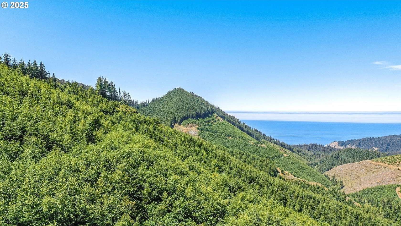 360 Acres of Land for Sale in Nehalem, Oregon