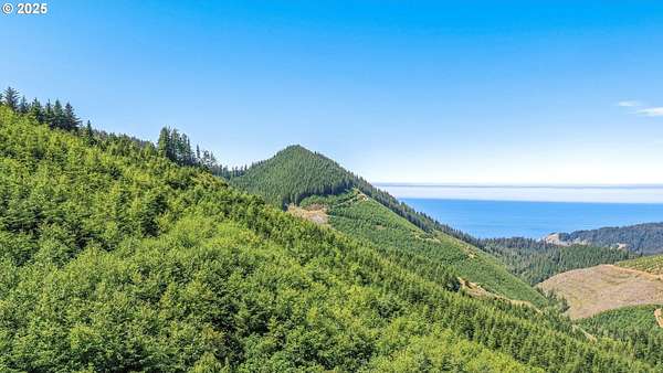 360 Acres of Land for Sale in Nehalem, Oregon