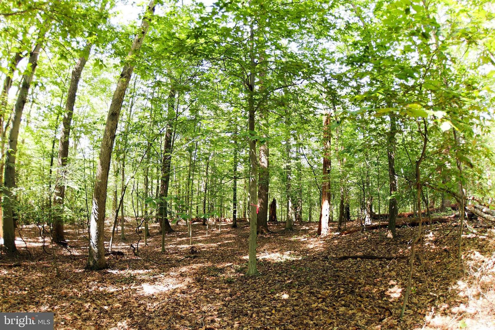 5.13 Acres of Residential Land for Sale in Accokeek, Maryland