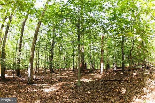 5.13 Acres of Residential Land for Sale in Accokeek, Maryland
