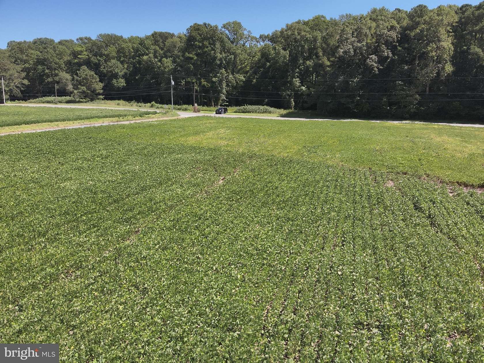 2.85 Acres of Residential Land for Sale in Snow Hill, Maryland