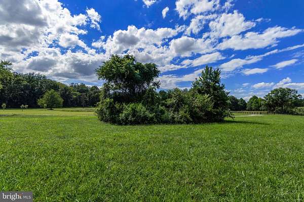 17 Acres of Land for Sale in Jeffersonton, Virginia