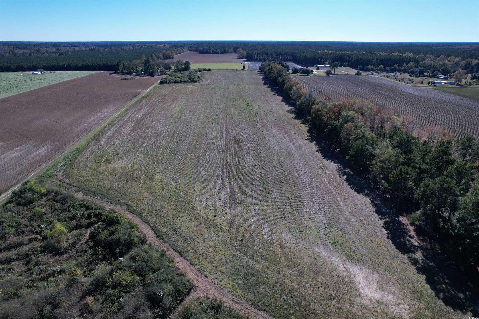 64 Acres of Recreational Land & Farm for Sale in Lake City, South Carolina