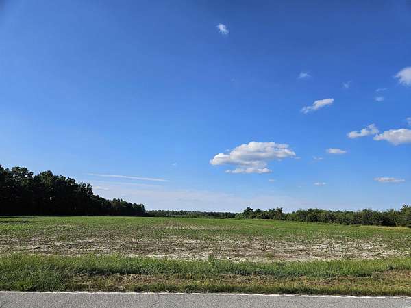 64 Acres of Agricultural Land for Sale in Lake City, South Carolina