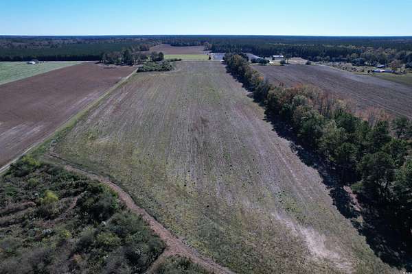 64 Acres of Recreational Land & Farm for Sale in Lake City, South Carolina