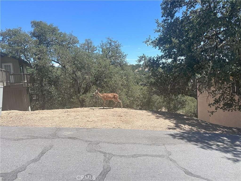 0.15 Acres of Land for Sale in Bradley, California