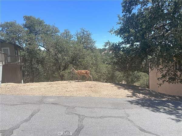 0.15 Acres of Land for Sale in Bradley, California