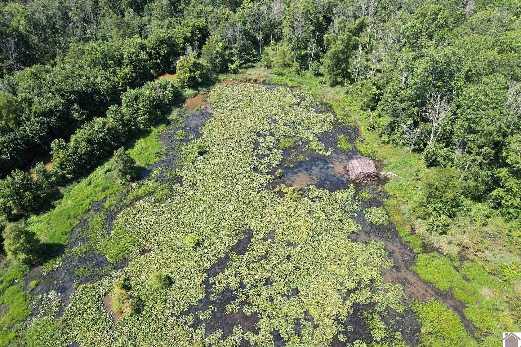 68.4 Acres of Recreational Land for Sale in Wickliffe, Kentucky