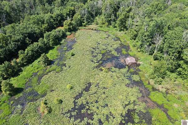 68.4 Acres of Recreational Land for Sale in Wickliffe, Kentucky