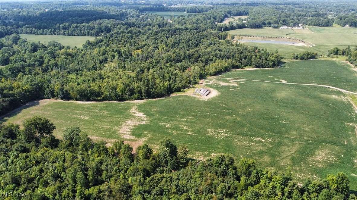 80.3 Acres of Recreational Land & Farm for Auction in Diamond, Ohio