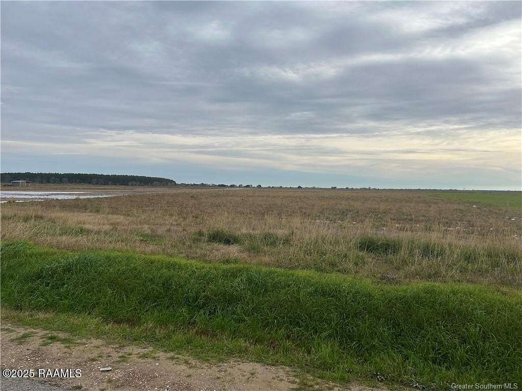 10 Acres of Residential Land for Sale in Welsh, Louisiana