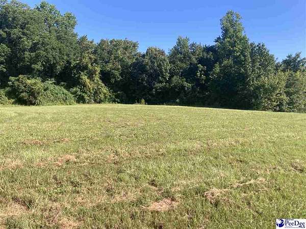 3 Acres of Land for Sale in Lake View, South Carolina