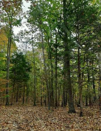 5 Acres of Land for Sale in Waterloo, Alabama