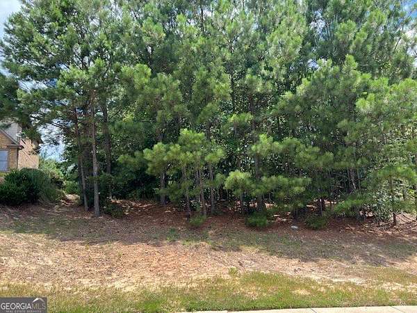 1 Acre of Residential Land for Sale in Flowery Branch, Georgia