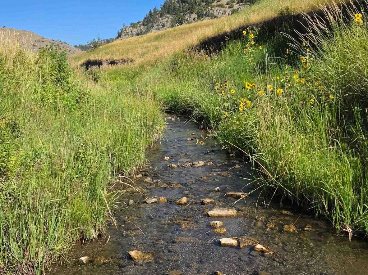 160 Acres of Recreational Land & Farm for Sale in Livingston, Montana