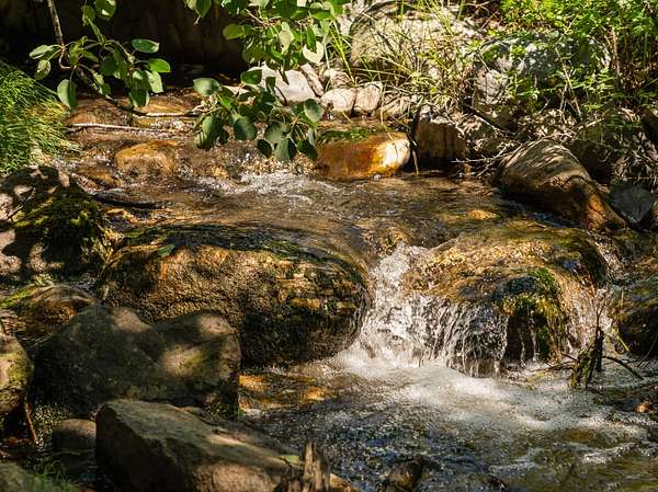 160 Acres of Recreational Land & Farm for Sale in Livingston, Montana