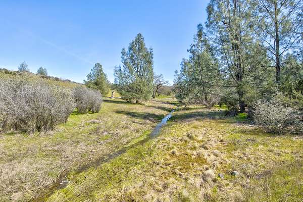 97.6 Acres of Agricultural Land for Sale in Ione, California