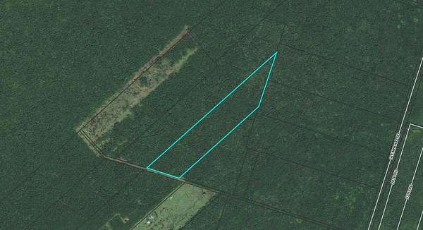 38.9 Acres of Recreational Land for Sale in Volcano, Hawaii