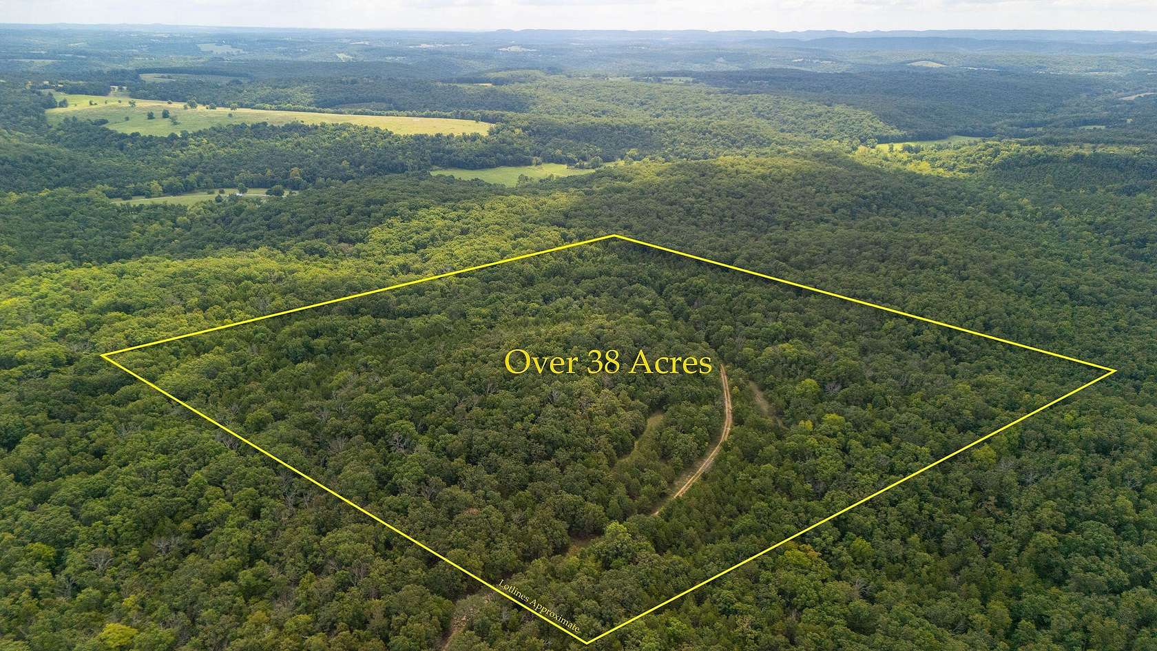 38.4 Acres of Recreational Land for Sale in Chadwick, Missouri