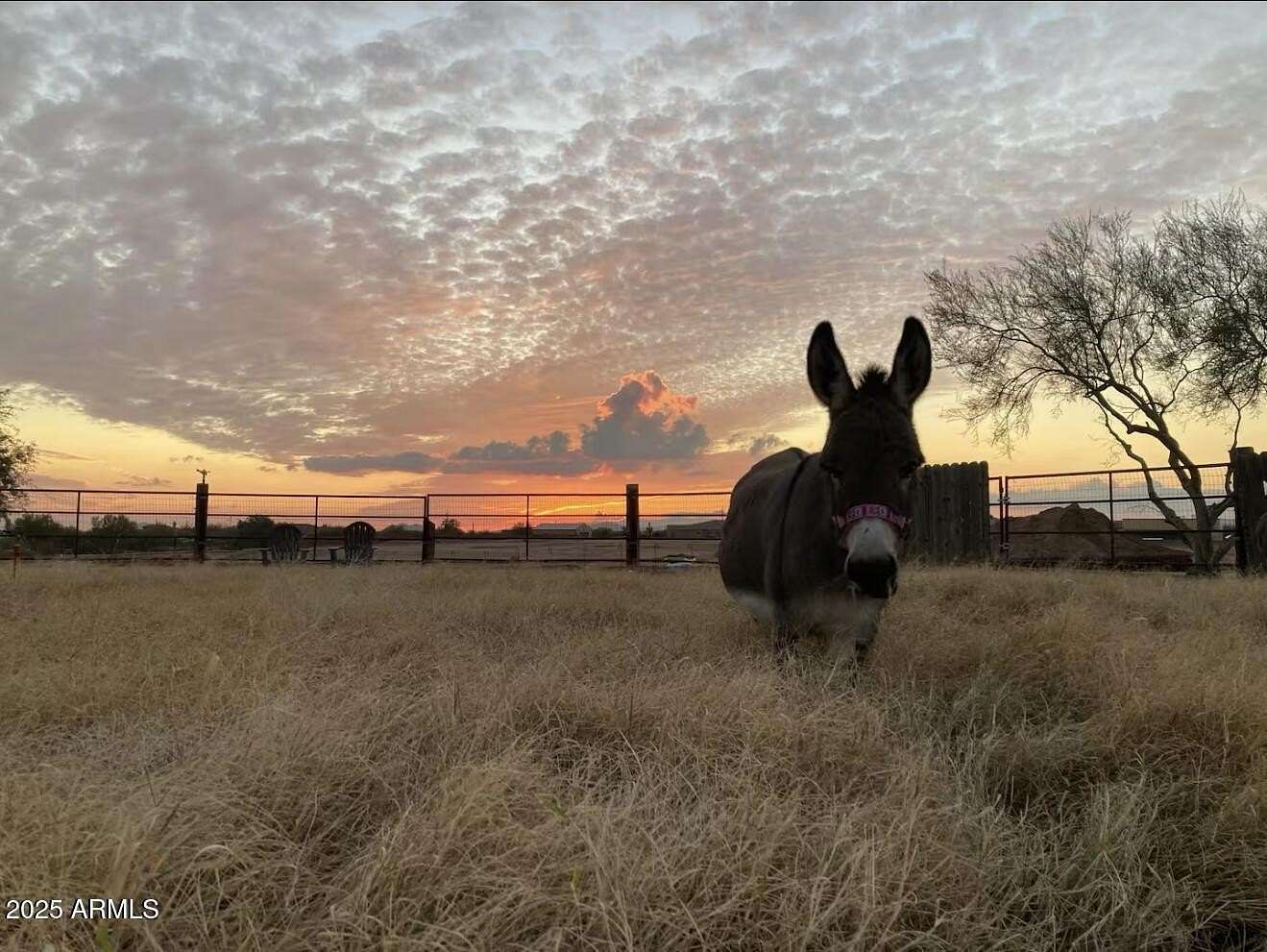 2.5 Acres of Residential Land with Home for Lease in Cave Creek, Arizona